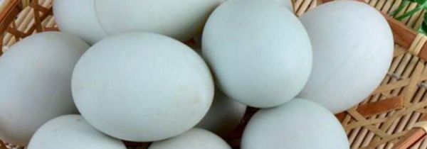 吃鸭蛋禁忌