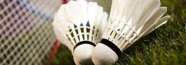 羽毛球技巧与训练方法