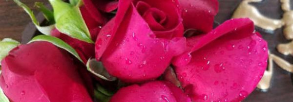 新鲜的花瓣的新鲜是什么意思