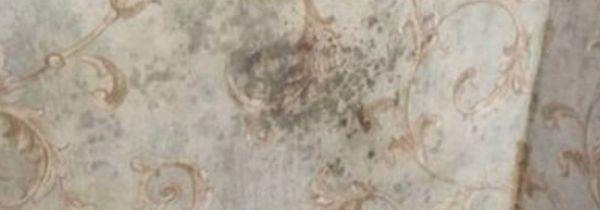 回南天墙面的水是从哪里来的