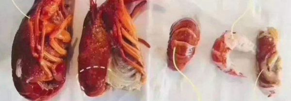 小龙虾垃圾分类