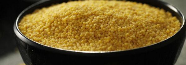 小米营养价值及功效与禁忌