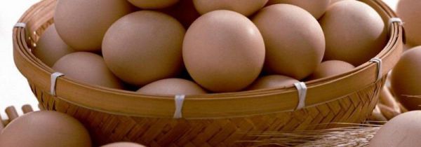 鸡蛋红薯牛奶能一起吃吗