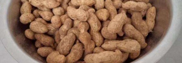 鲜花生怎么保存时间长