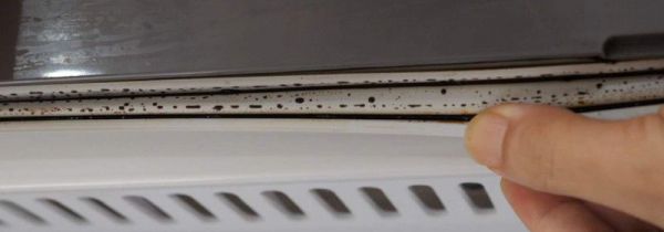 冰箱胶条发霉洗不掉