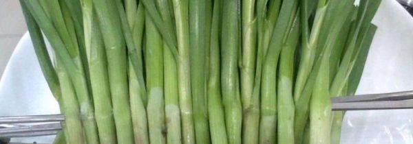 韭菜馅放十三香吗