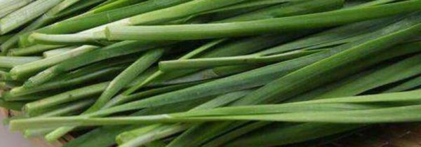 韭菜和蘑菇可以一起吃吗