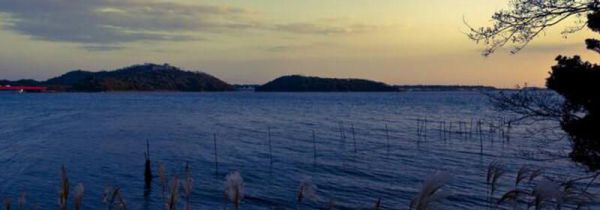 静冈县在日本哪里