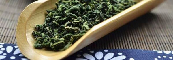 霜桑茶哪些人不能喝