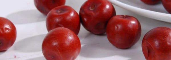 野生酸枣的功效与作用及食用方法