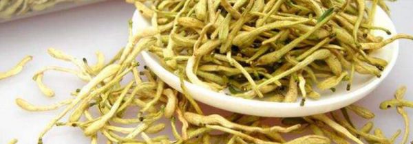 金银花过期了还能喝吗