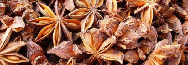 八角发霉怎么清洗