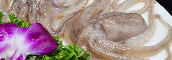 八爪鱼的副作用