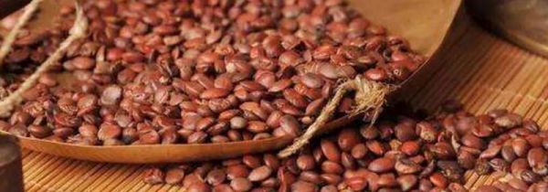 酸枣仁汤的禁忌