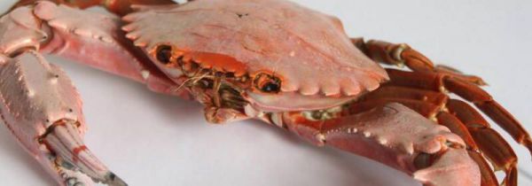 螃蟹和鸭肉能一起吃吗