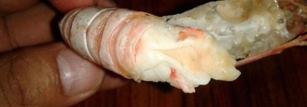 虾膏和虾黄的区别