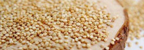 藜麦相克的食物