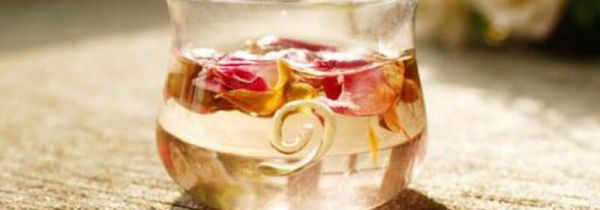 蒲公英玫瑰花茶的禁忌