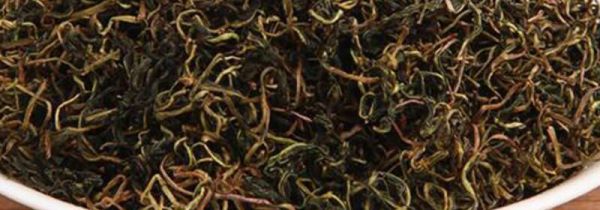 蒲公英和玉米须的禁忌