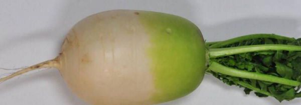 萝卜和梨能一起吃吗