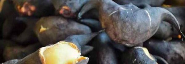 菱角的禁忌人群