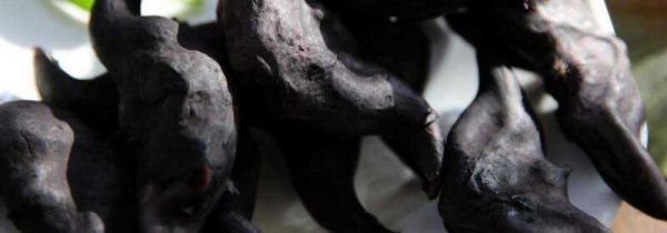 菱角壳是什么垃圾