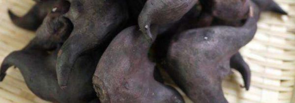 菱角保存到冬季的方法