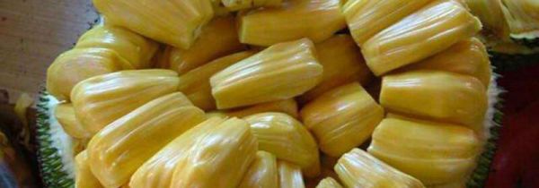 菠萝蜜的功效及禁忌