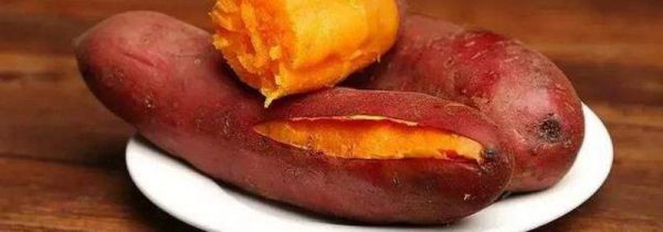 红薯蒸着吃还是煮着吃