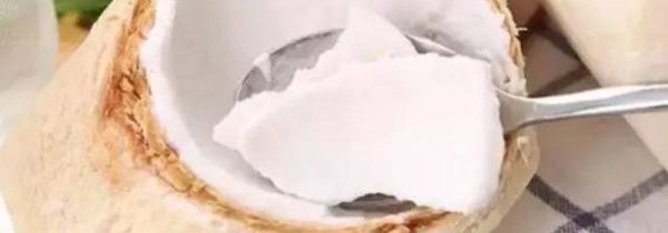 椰青为什么是白的