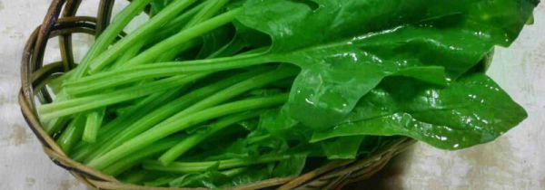 菠菜和紫菜能一起吃吗