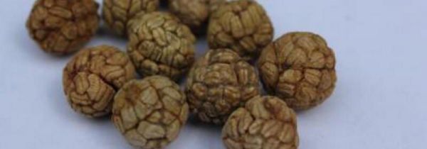 草蔻与肉蔻的区别