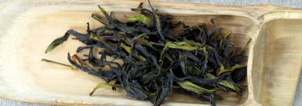 茶叶茶喝多了会怎样