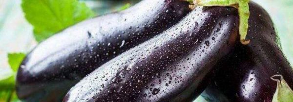 茄子和牛奶能一起吃吗