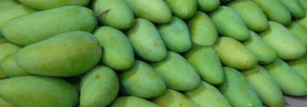 芒果和香蕉能一起吃吗