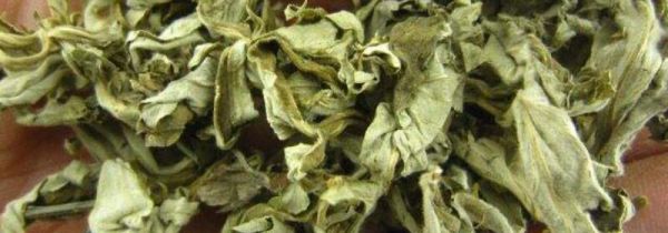 艾叶洗澡的禁忌