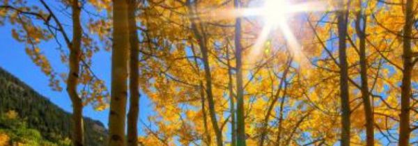 秋分是几月几日2019