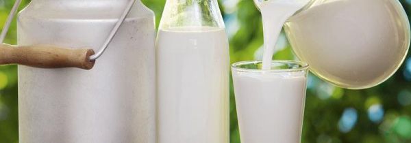 生牛乳和纯牛奶有什么区别