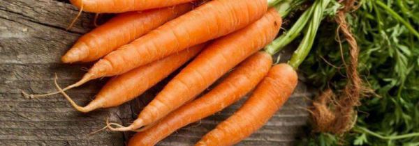 胡萝卜和鸡肉能一起吃吗