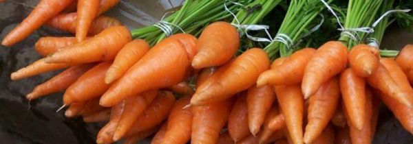 胡萝卜和豆腐能一起吃吗