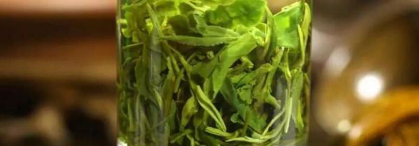 绿茶和牛奶能一起喝吗