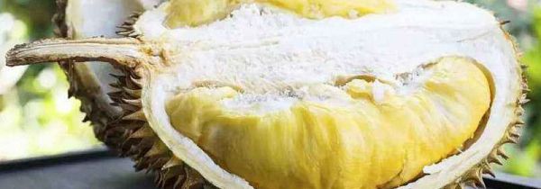 榴莲和牛奶为什么不能一起吃