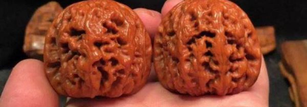 核桃尖摔掉了怎么办