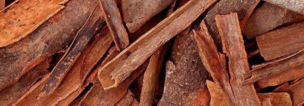 肉桂为什么不能久煎