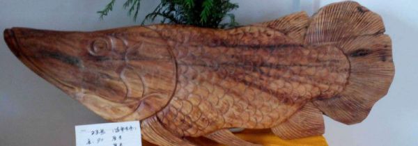 东北琥珀木的危害