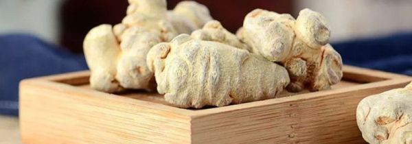 三七根须的正确吃法