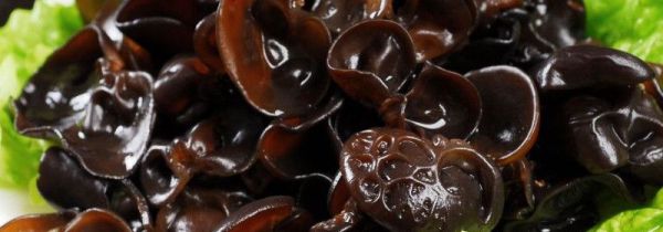 木耳打汁可以天天喝吗