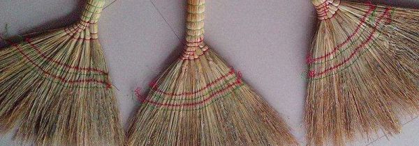 扫把上长蘑菇能吃吗