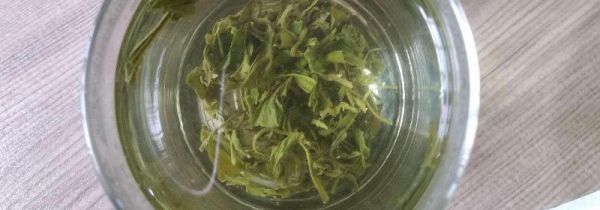 兰贵人茶的禁忌