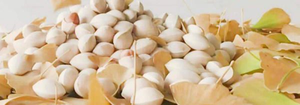 生银杏果能吃吗